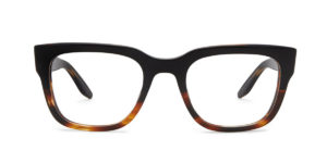 BARTON PERREIRA: STAX - RAVEN TORTOISE GRADIENT